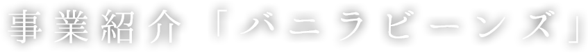 事業紹介「バニラビーンズ」